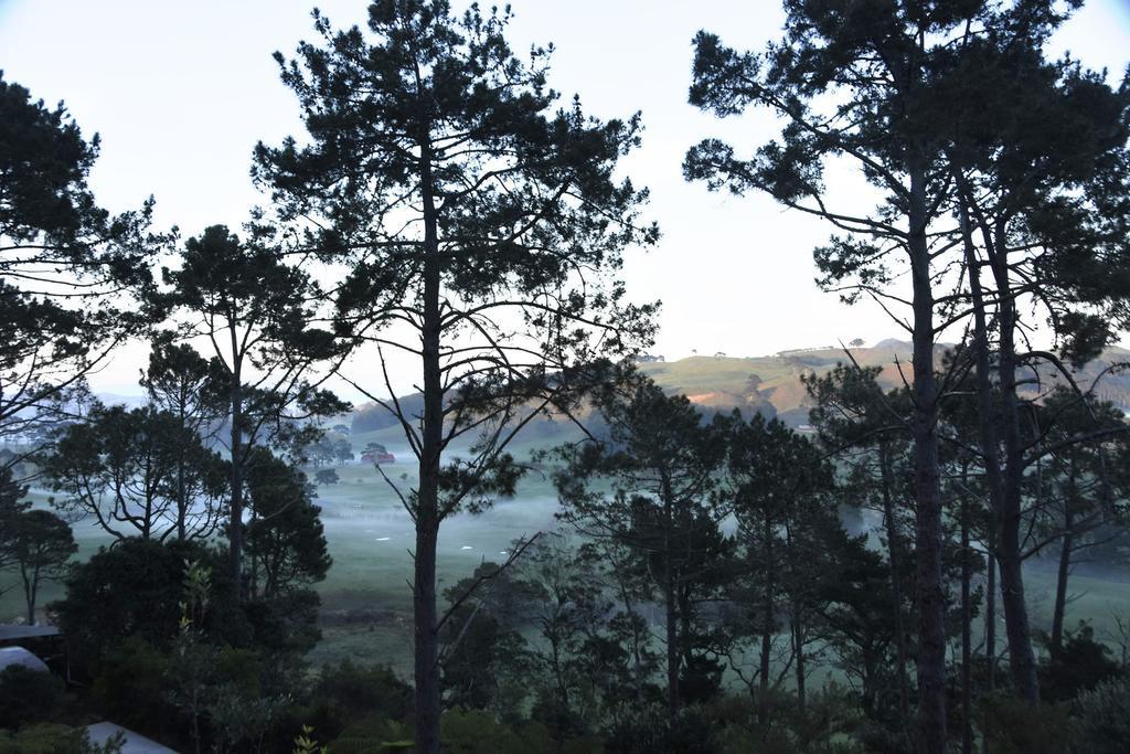 Ponga Eco-Lodge Hahei Kültér fotó